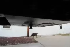 ed5effdfcec93cd8097ead79b981250e