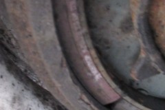 IMG_1231